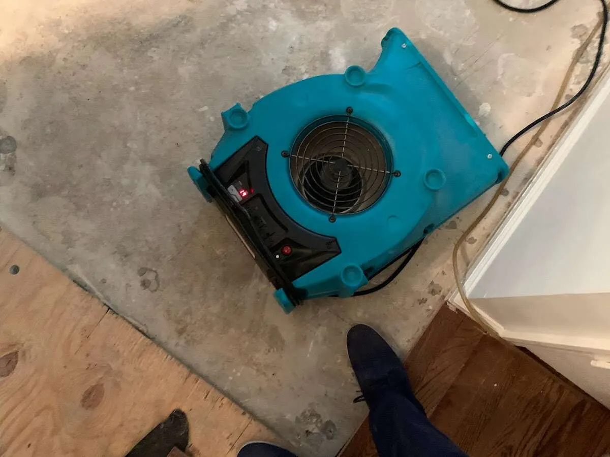 Air mover drying subfloor during Commercial Water Damage Restoration in Laurel